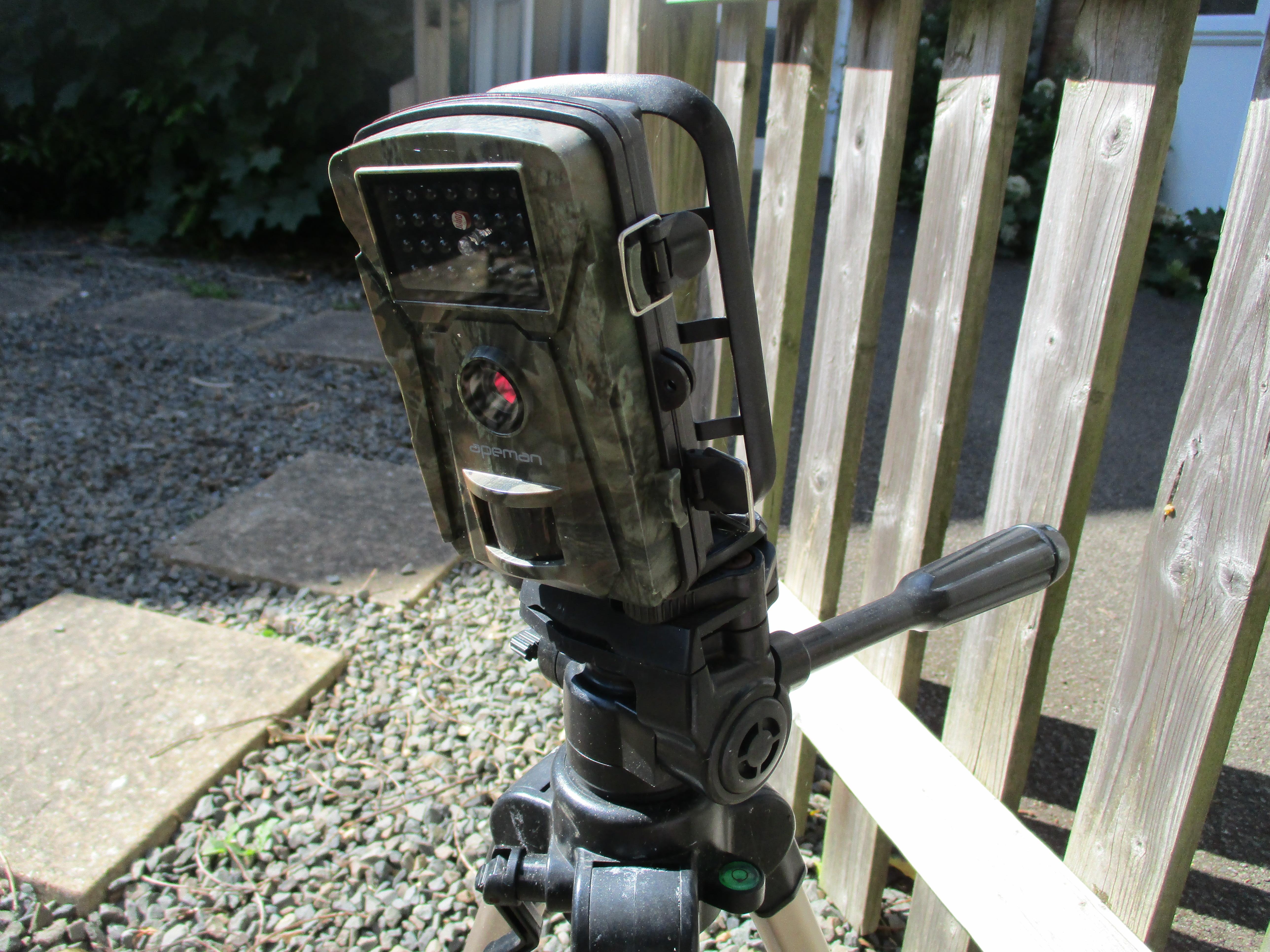 Motion Sensitive Wildlife Camera Recording birds/animals and insects